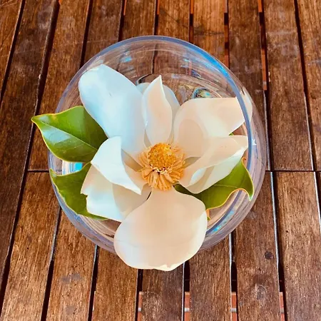 Villa Il Rifugio Di Anna Maria *