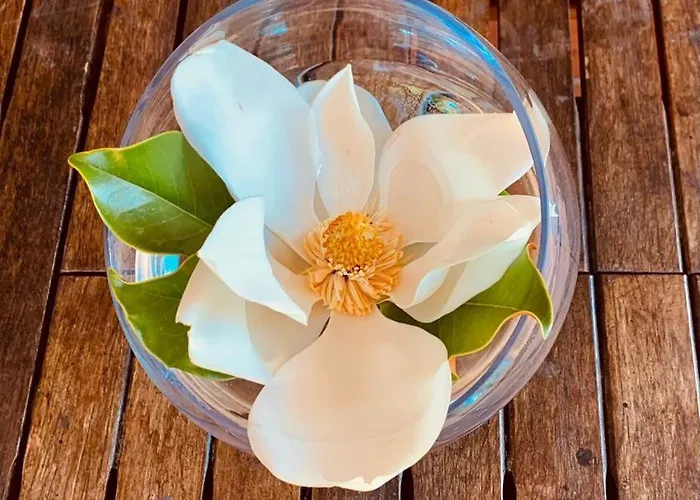 Villa Il Rifugio Di Anna Maria *