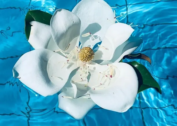 Il Rifugio Di Anna Maria Villa